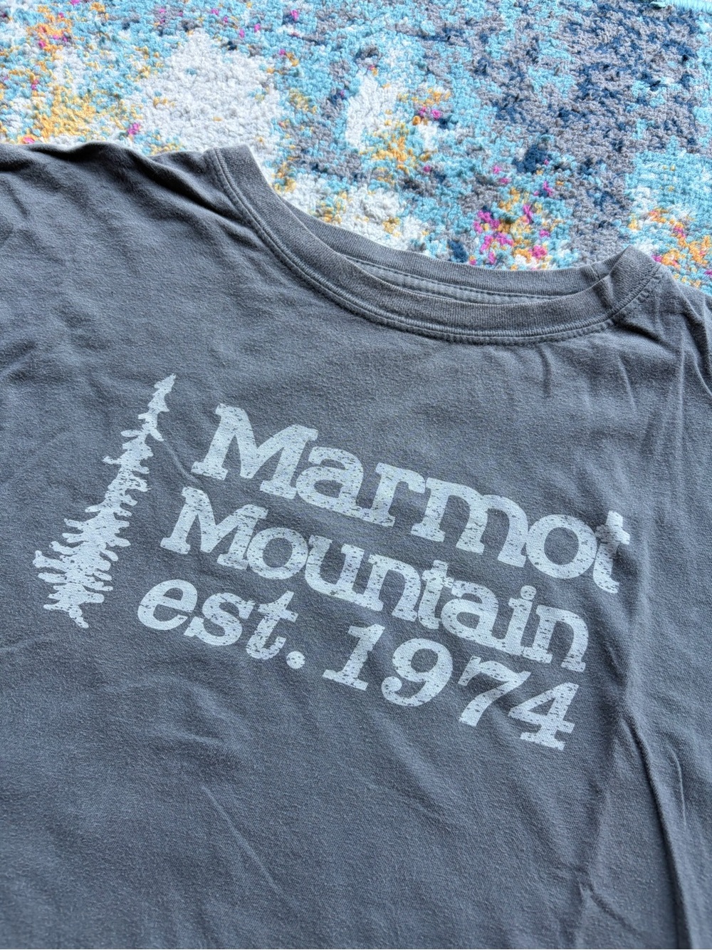 Y2K Marmot shirt